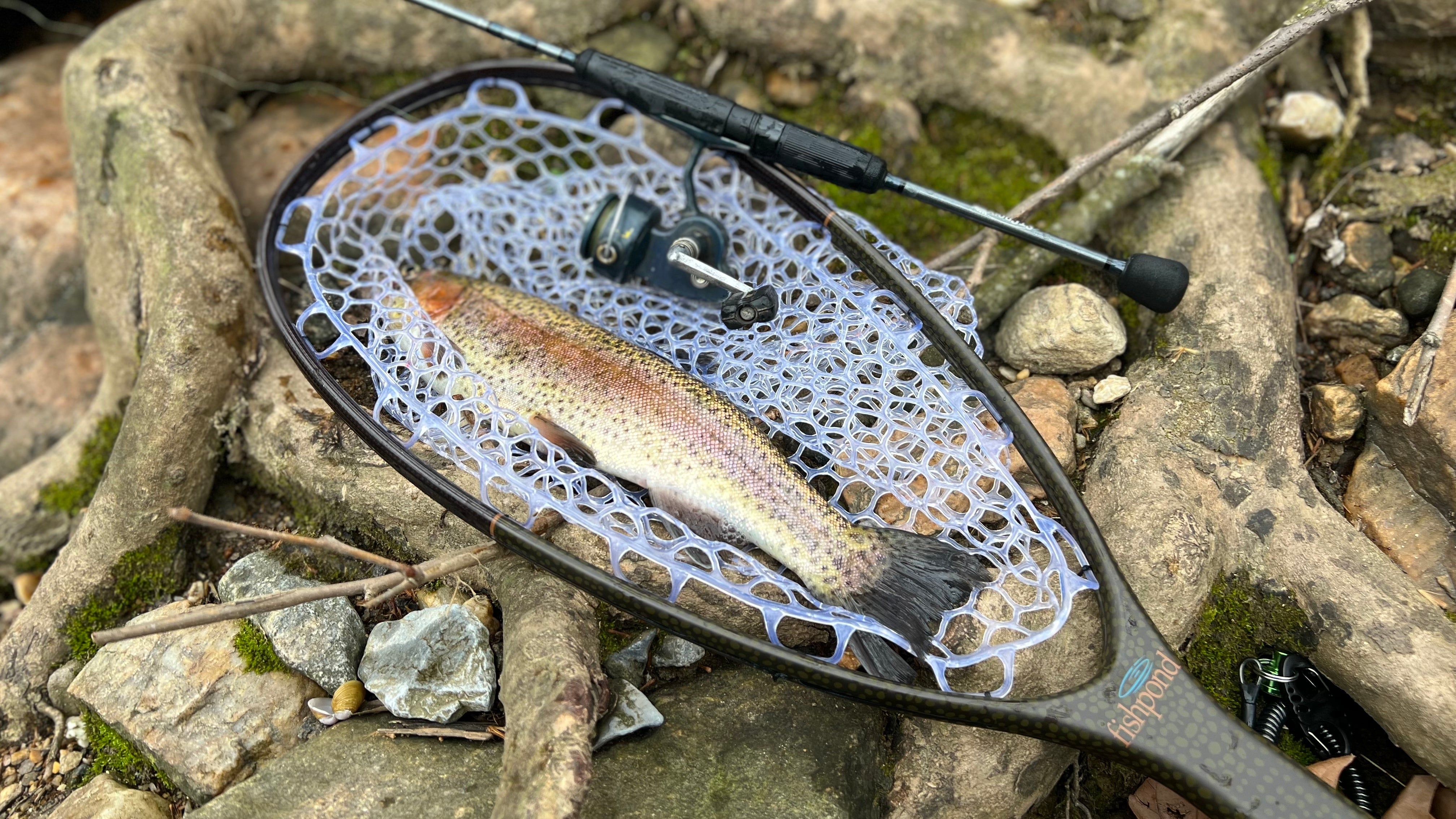 Best trout fishing reels