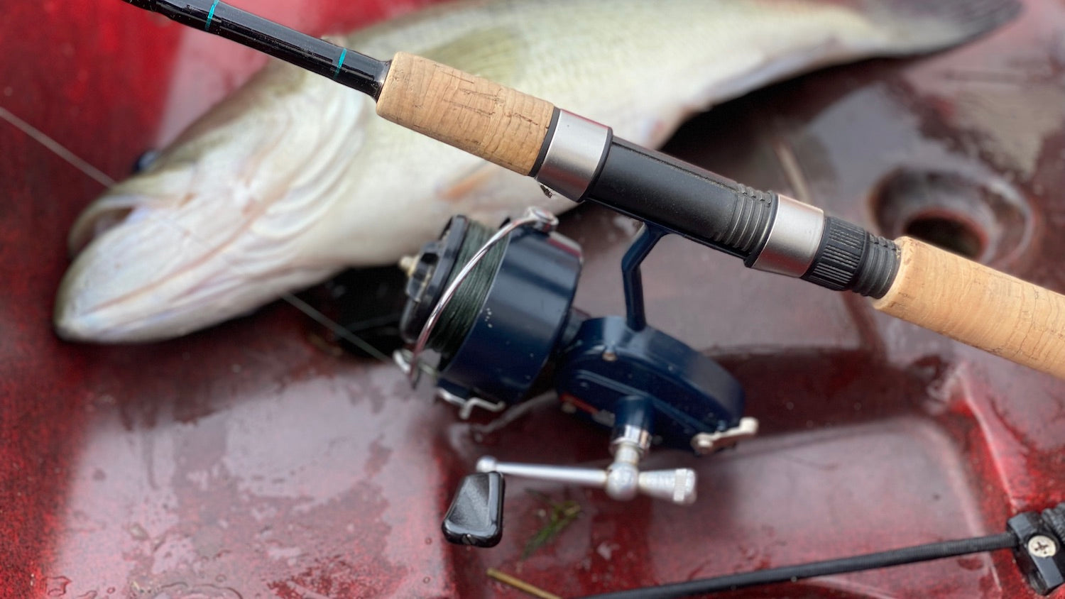 Mitchell 308 Spinning Reel – Anglers World