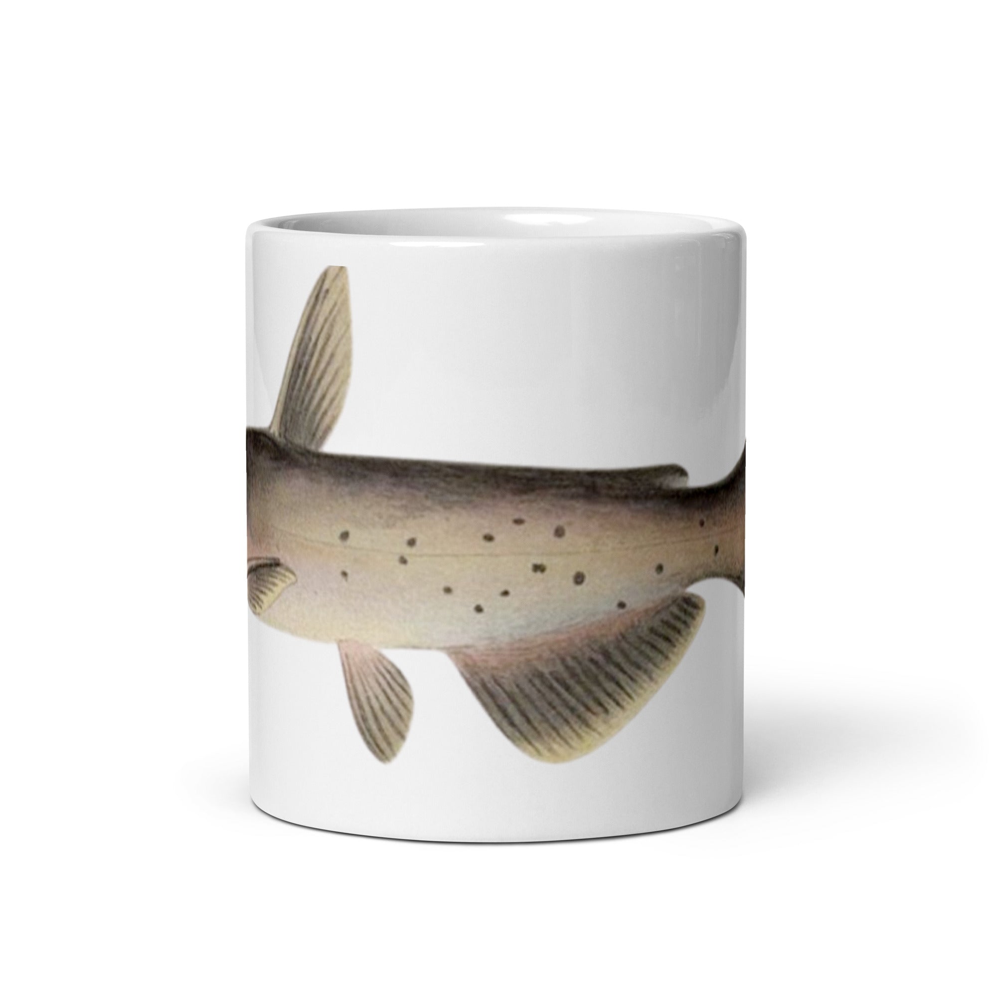 Channel Catfish mug