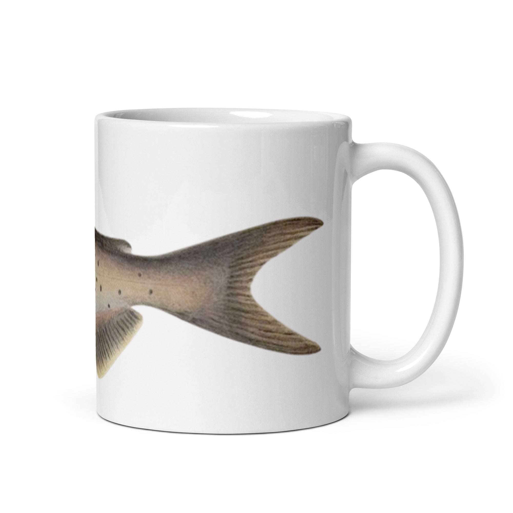 Channel Catfish mug